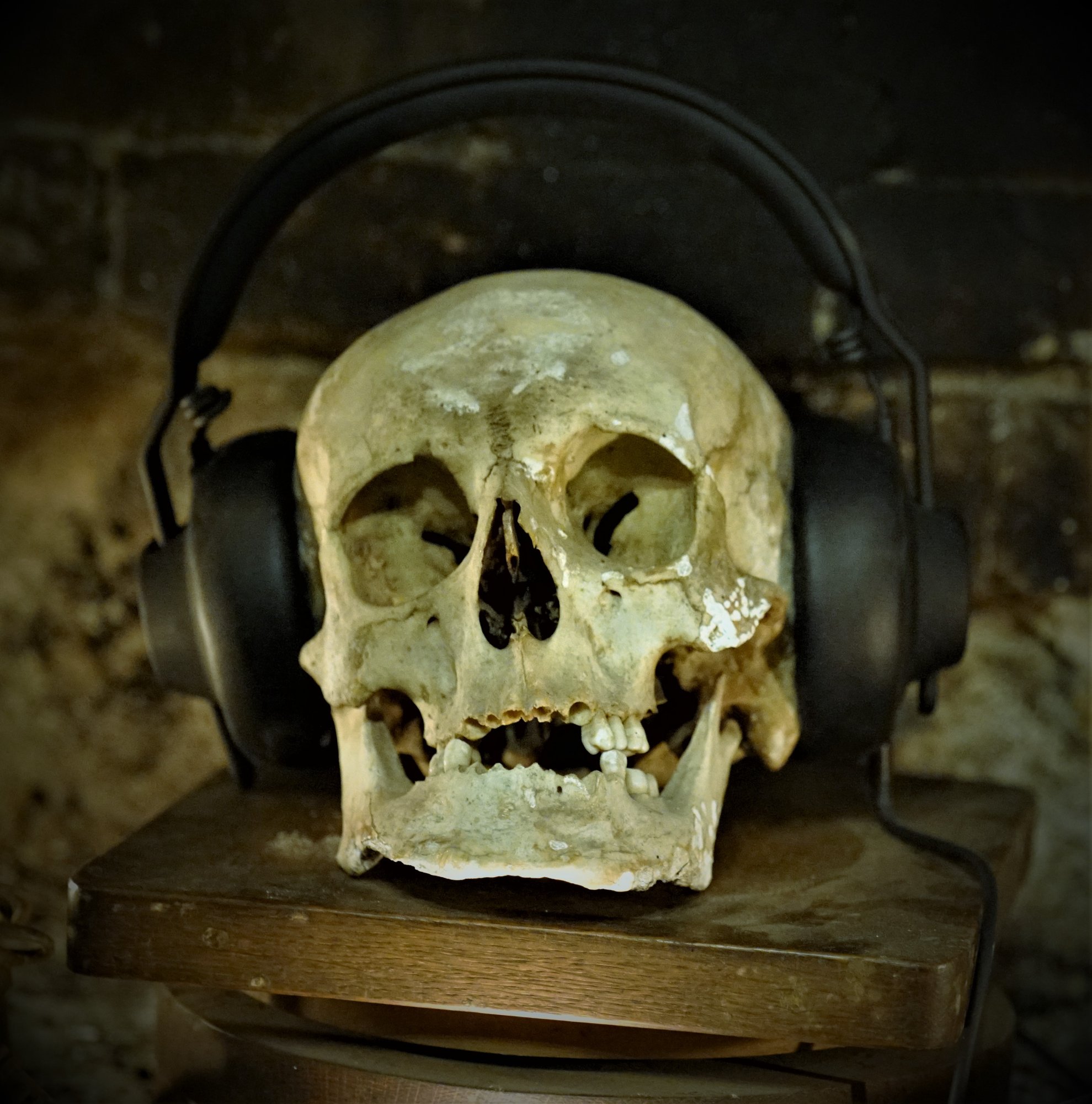 Skull with headphones