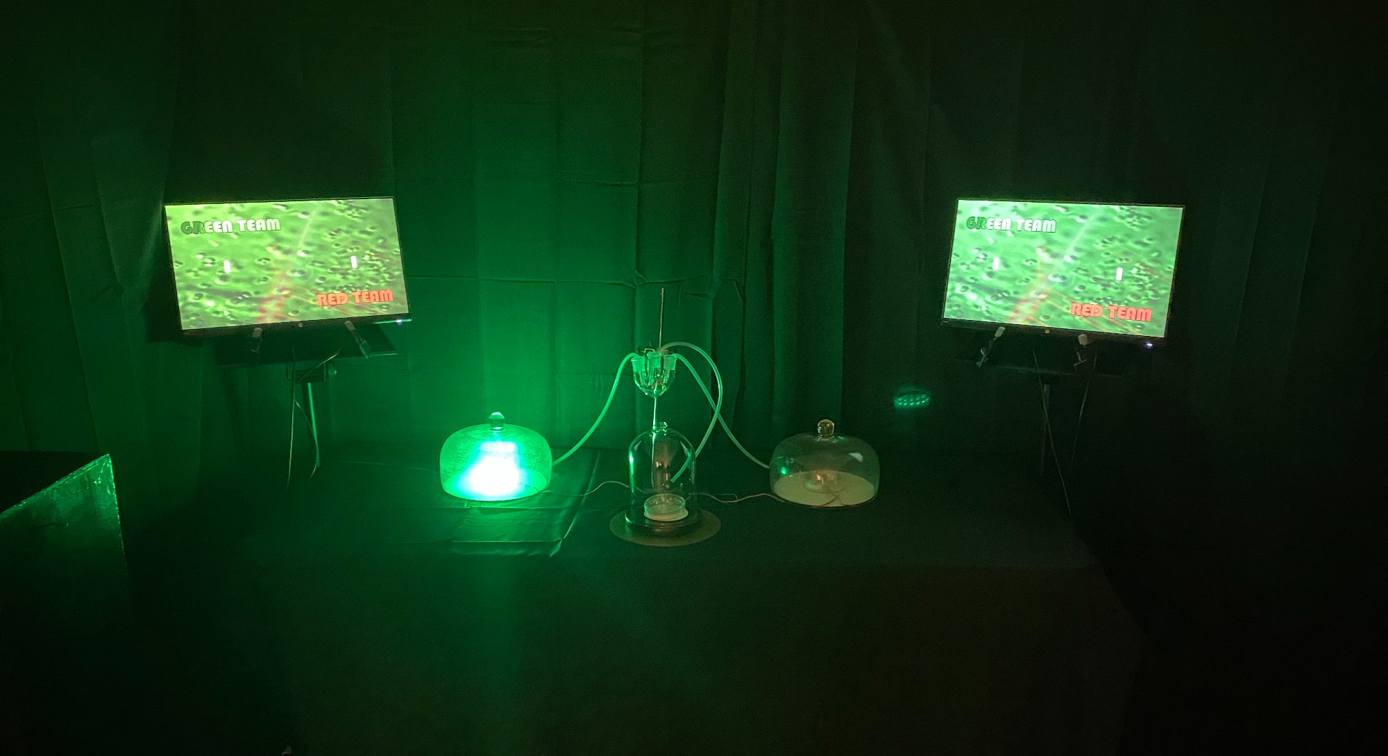 Micro Residence Quarantine Installation