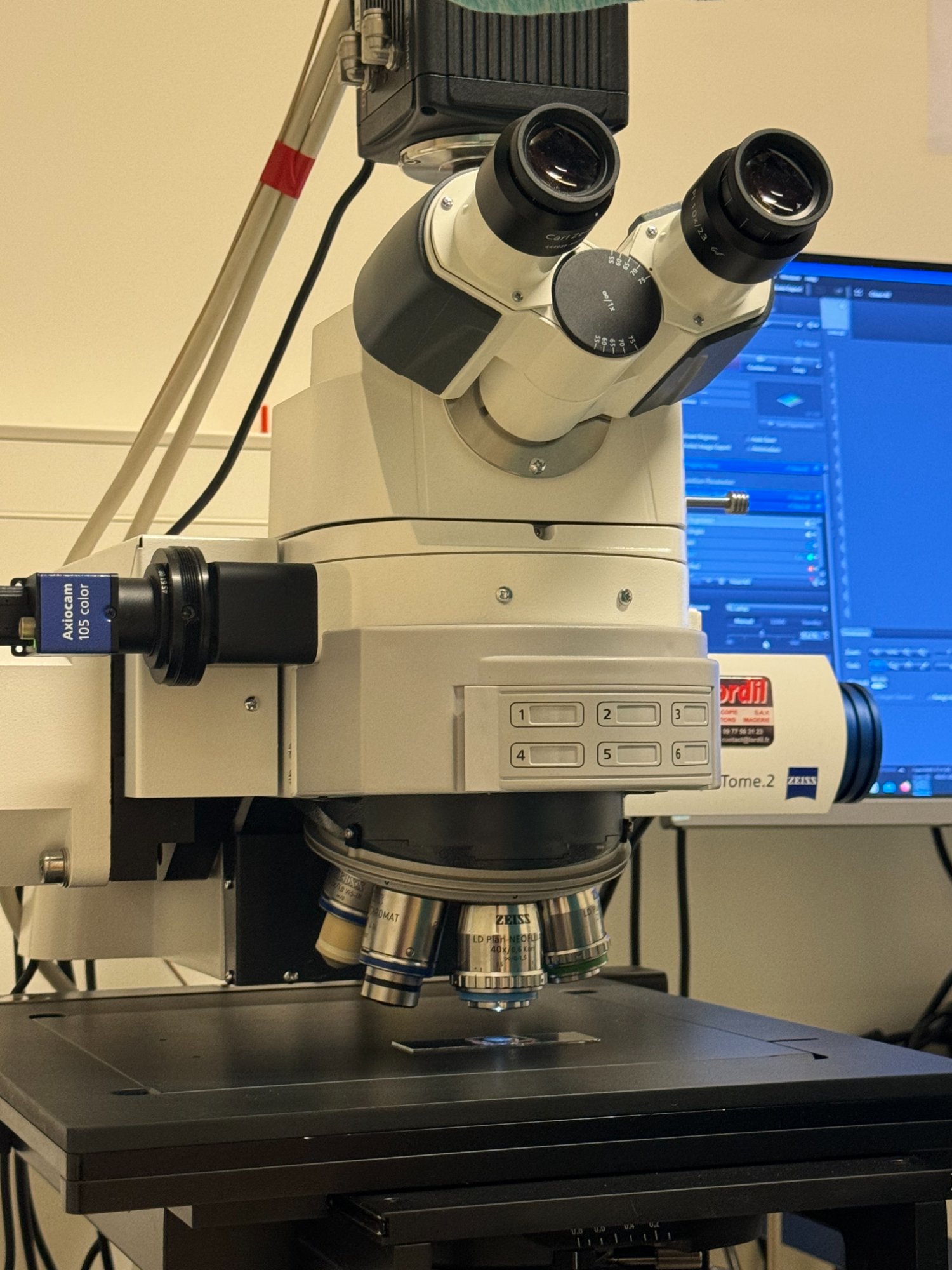 Zeiss microscope in lab