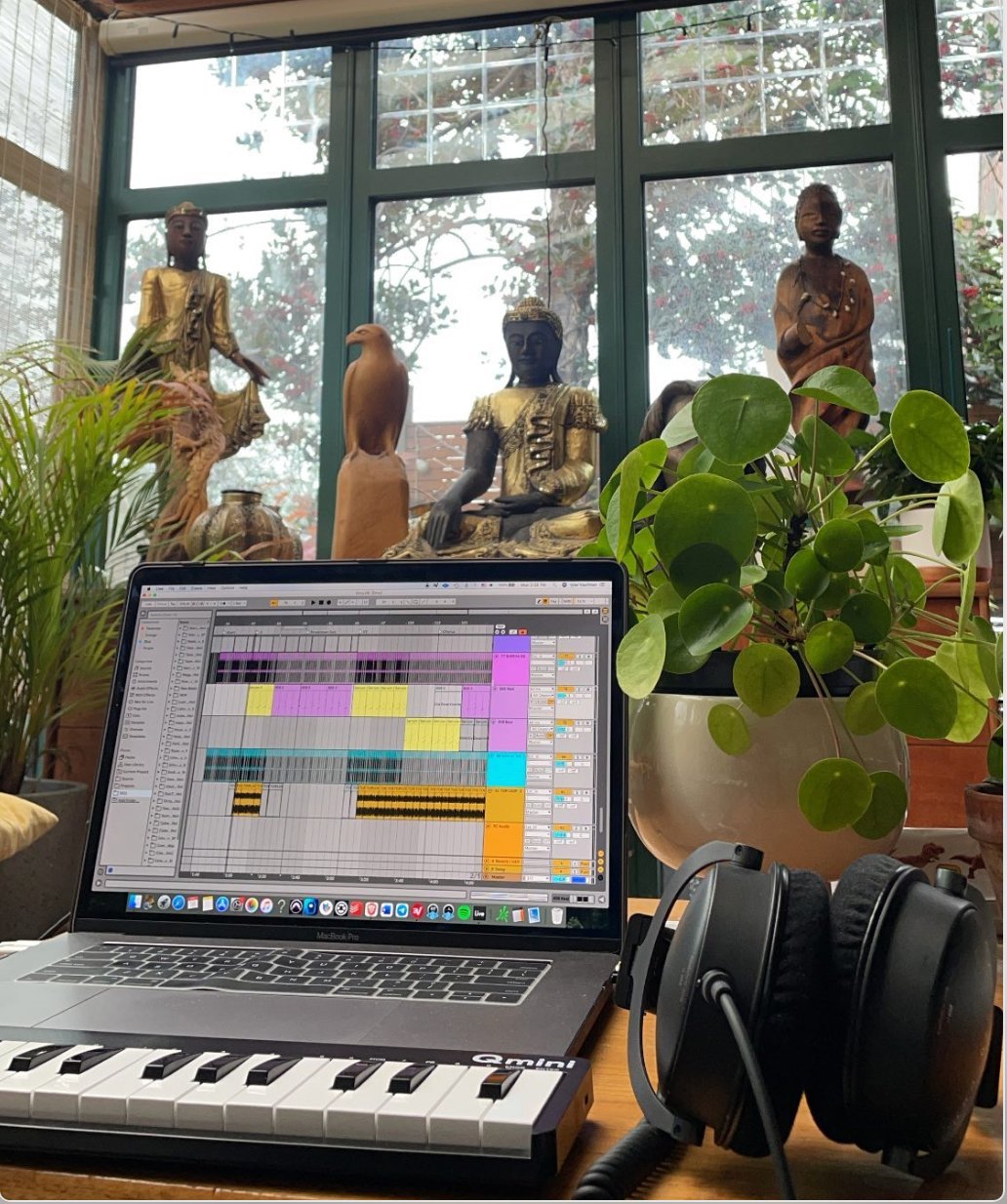 Studio with Ableton and plants